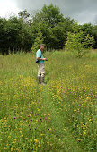 At home in the meadow