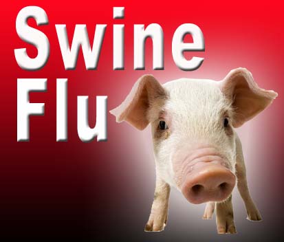 [Swine-flu-.jpg]