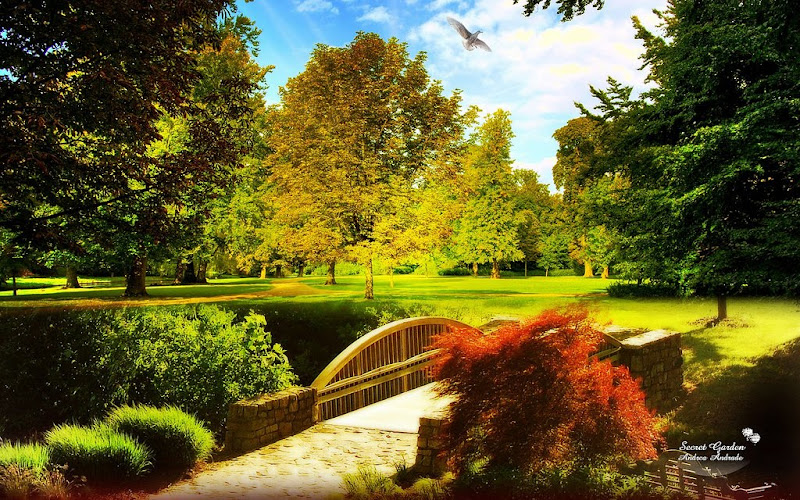 2010 New Beautiful Wallpapers Collection... - Hot Celebrity Apprentice 2011