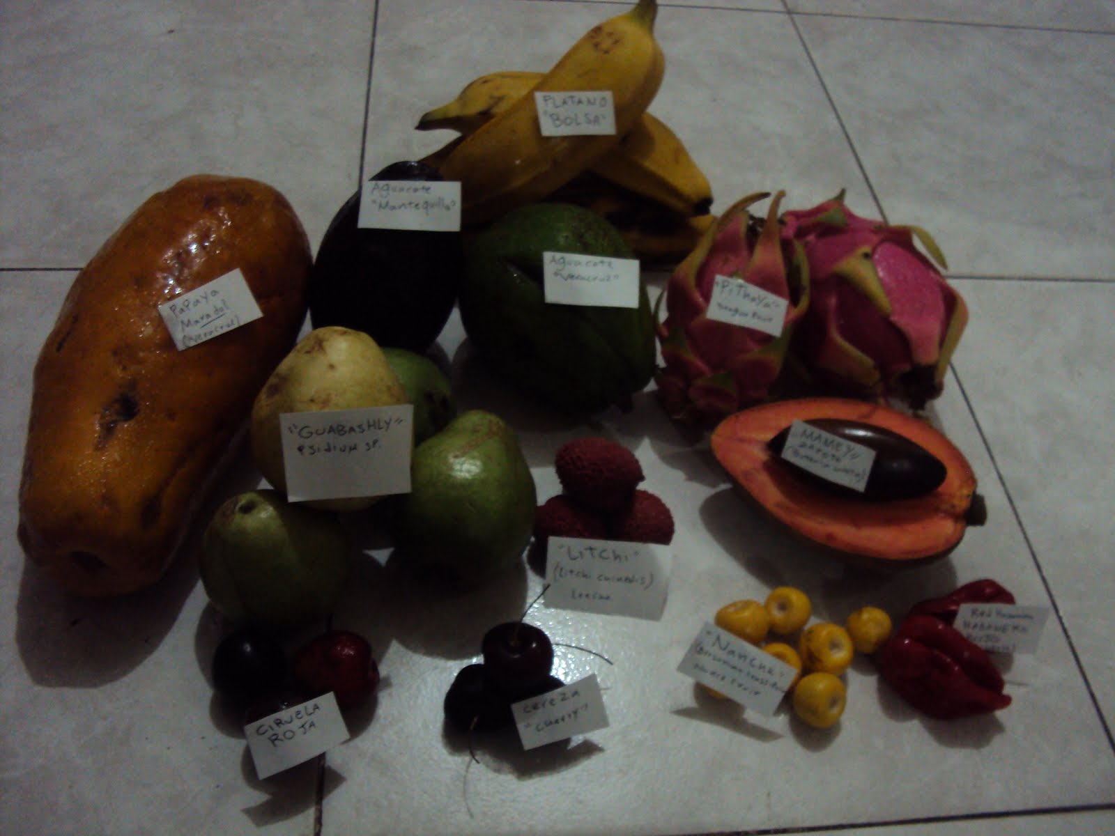 The Greenss shop Blog Frutas en mi refrigerador en veracruz