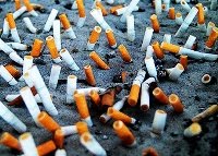 [71D3F32FCFE336DF8A3DD4F5E99511.jpg]