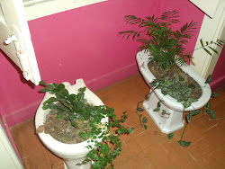 Diseño aveirense
