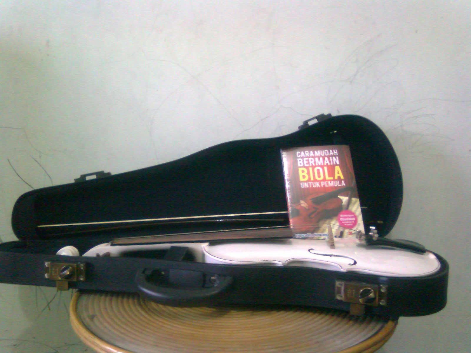 jual biola murah Januari 2011 jual biola murah Januari 2011