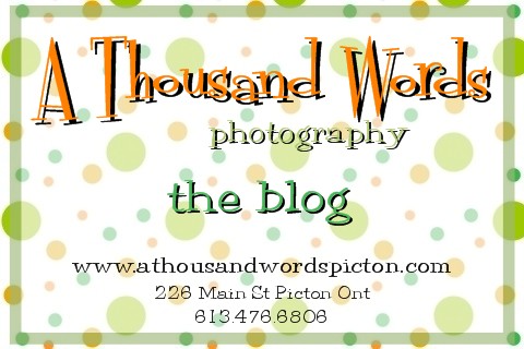 Thousand Words Photography Portrait Studio