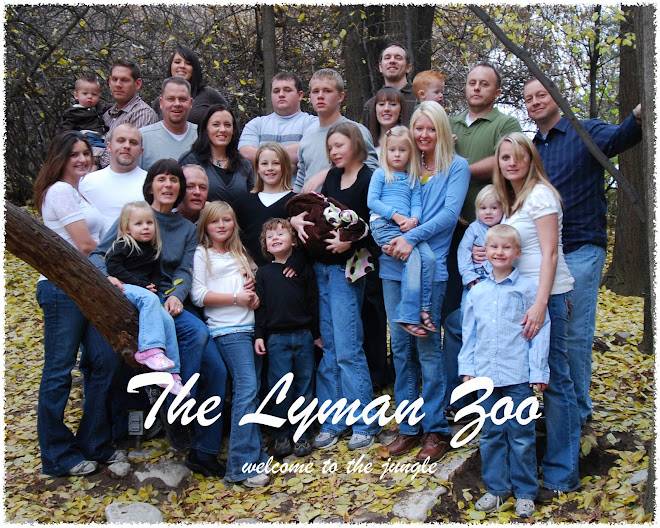 The Lyman Zoo