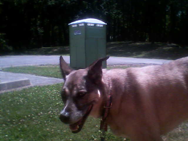 [0721071232-753602.jpg]