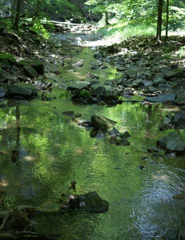 It's the Climate Stupid!