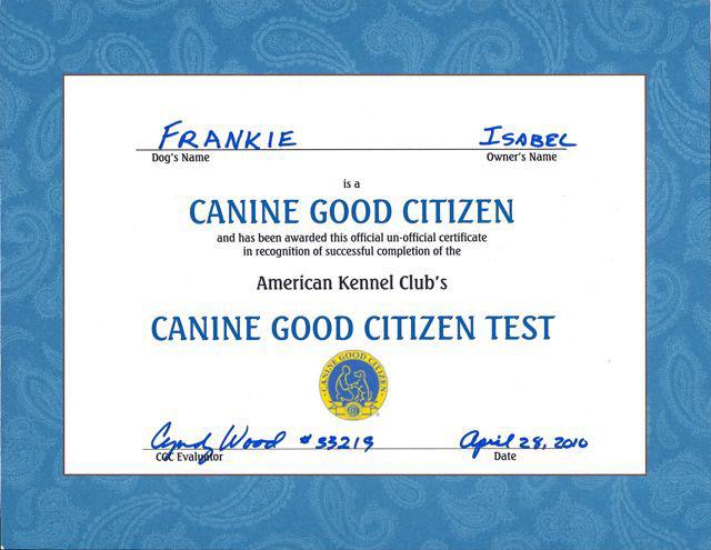Twinkie Tiny Dog | Teacup Chihuahua | A Dog Blog: Frankie's Friday (16) | Canine  Good Citizen