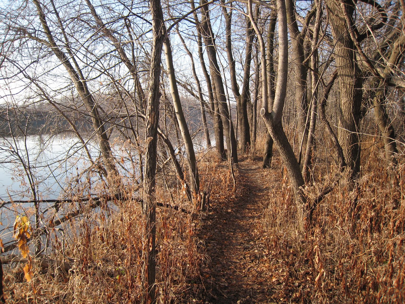 North Woods Trail Running Minnesota River Bottoms