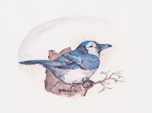 blue jay