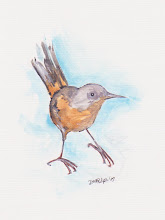 tennesee warbler