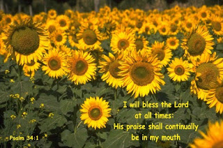Praise the lord Pslam 34:1 verse with nature background of sunflowers pic