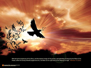 Beautiful sunrise in the morning with birds and nature background with bible verse for desktop photo gallery
