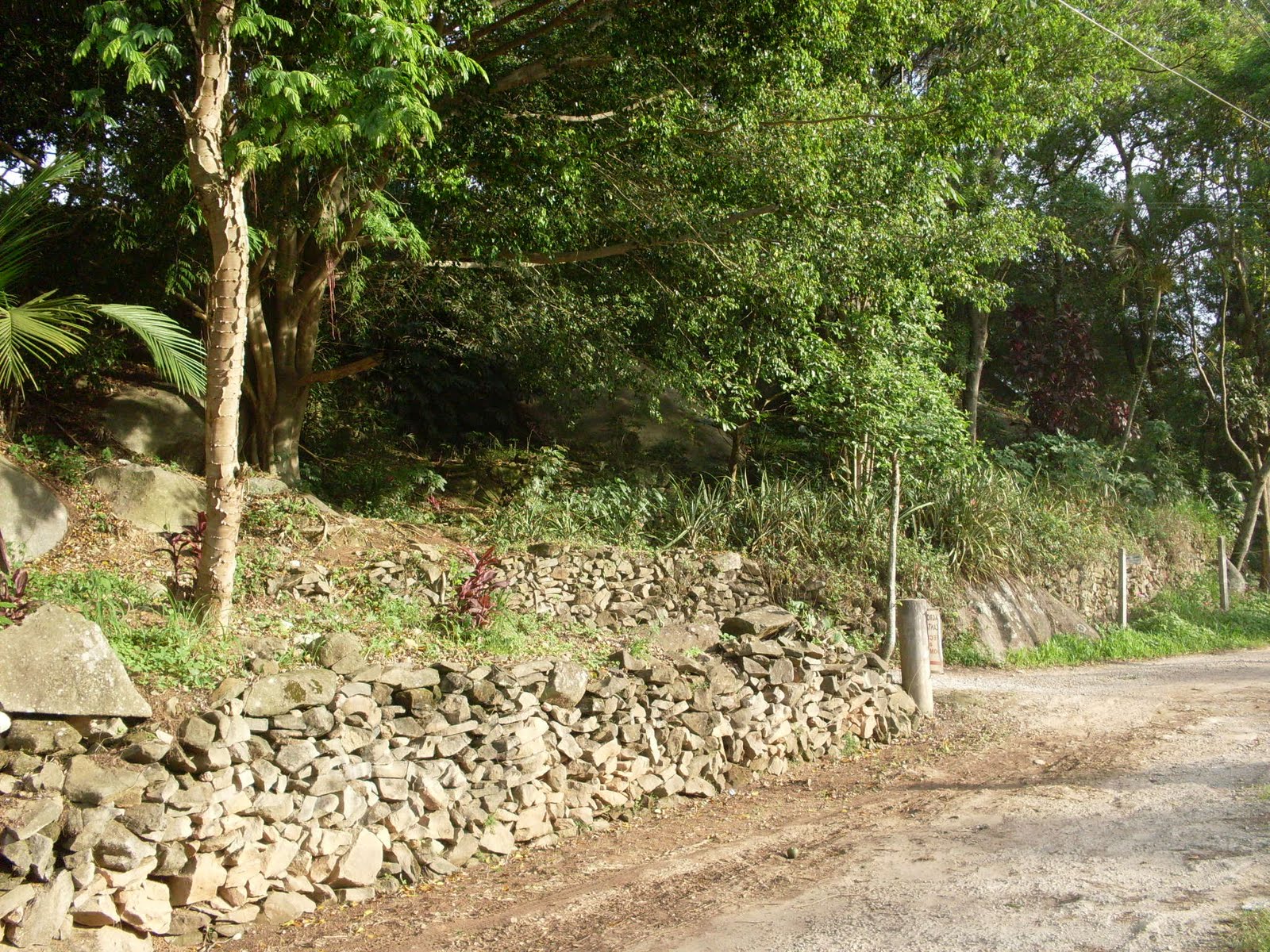 Chácara Frade - Produtos Orgânicos