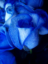 Ice Blue Roses