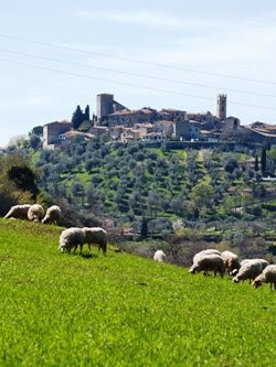 Il paese di Montemerano, arroccato sulla collina. Foto di Andrea Mangoni.