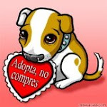 ¡¡ADOPTA, NO COMPRES!!