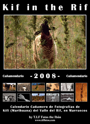 Calendario cannábico 2008