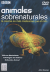 documental animales sobrenaturales