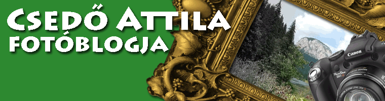 Csedő Attila