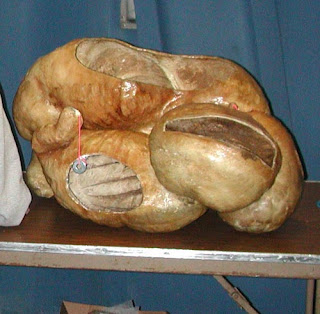 purpledragon: How Many Stomachs Does A Cow Have?