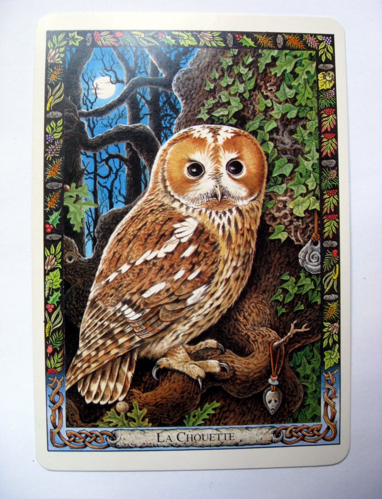 chouettes-hiboux-et-compagnie-l-oracle-des-druides