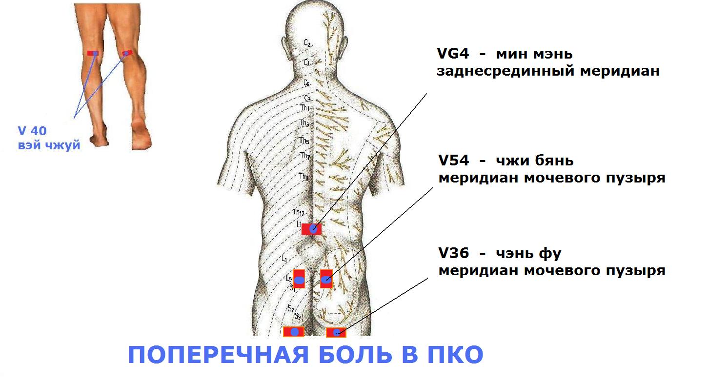 точка минь мэнь. точка цзин мин для улучшения зрения. мин и мах функции. точка "мин-мэнь" врата жизни. Vg 15 точка акупунктуры.
