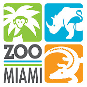 Happy Birthday to the Miami MetroZoo! It started out as Crandon Park Zoo way . (zoomiami full version)