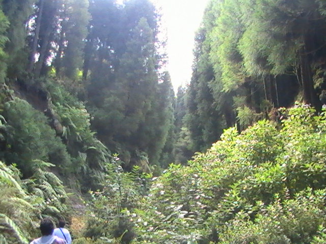[azores+115.jpg]