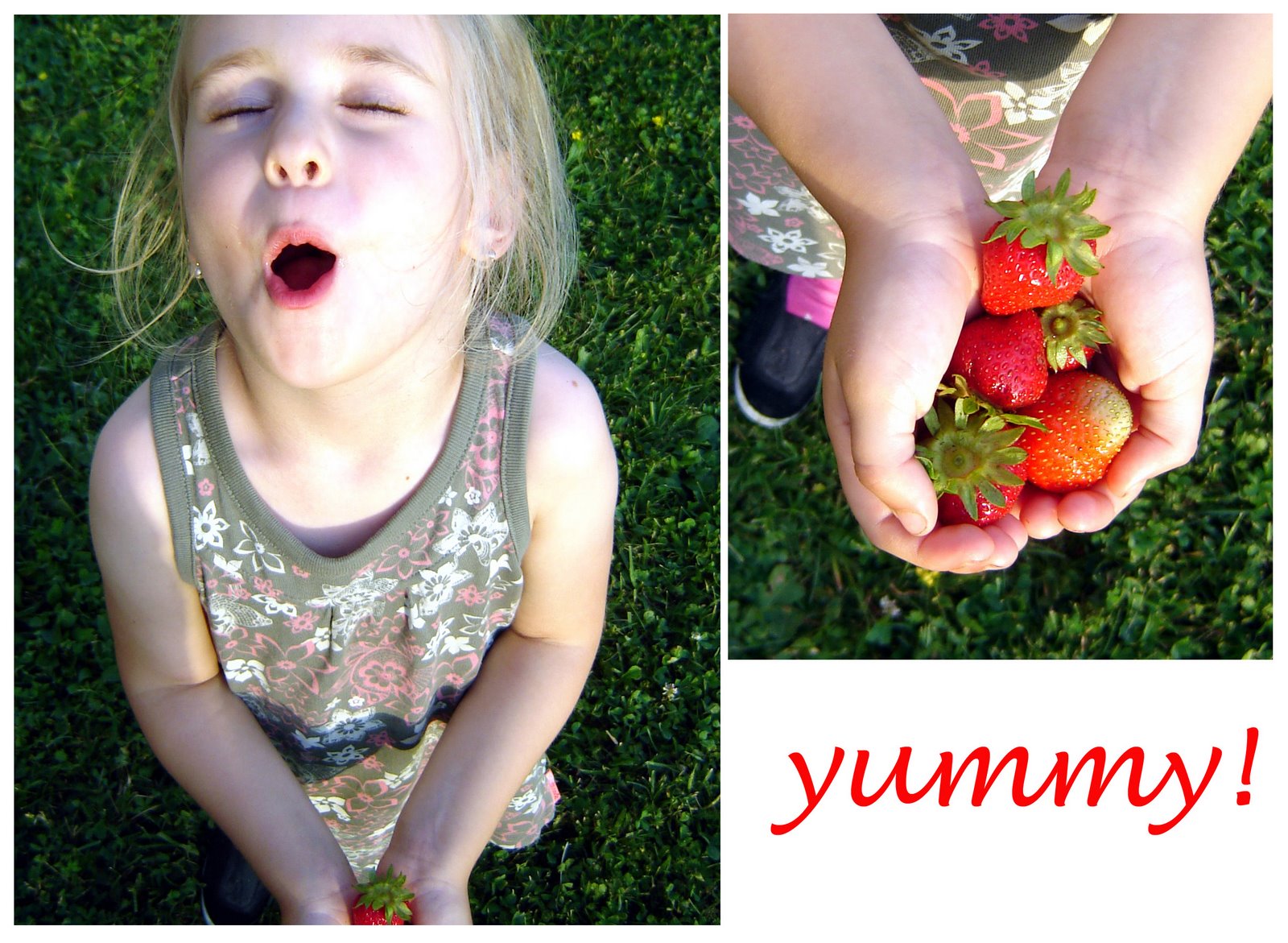 [yummy+strawberries+copy.jpg]