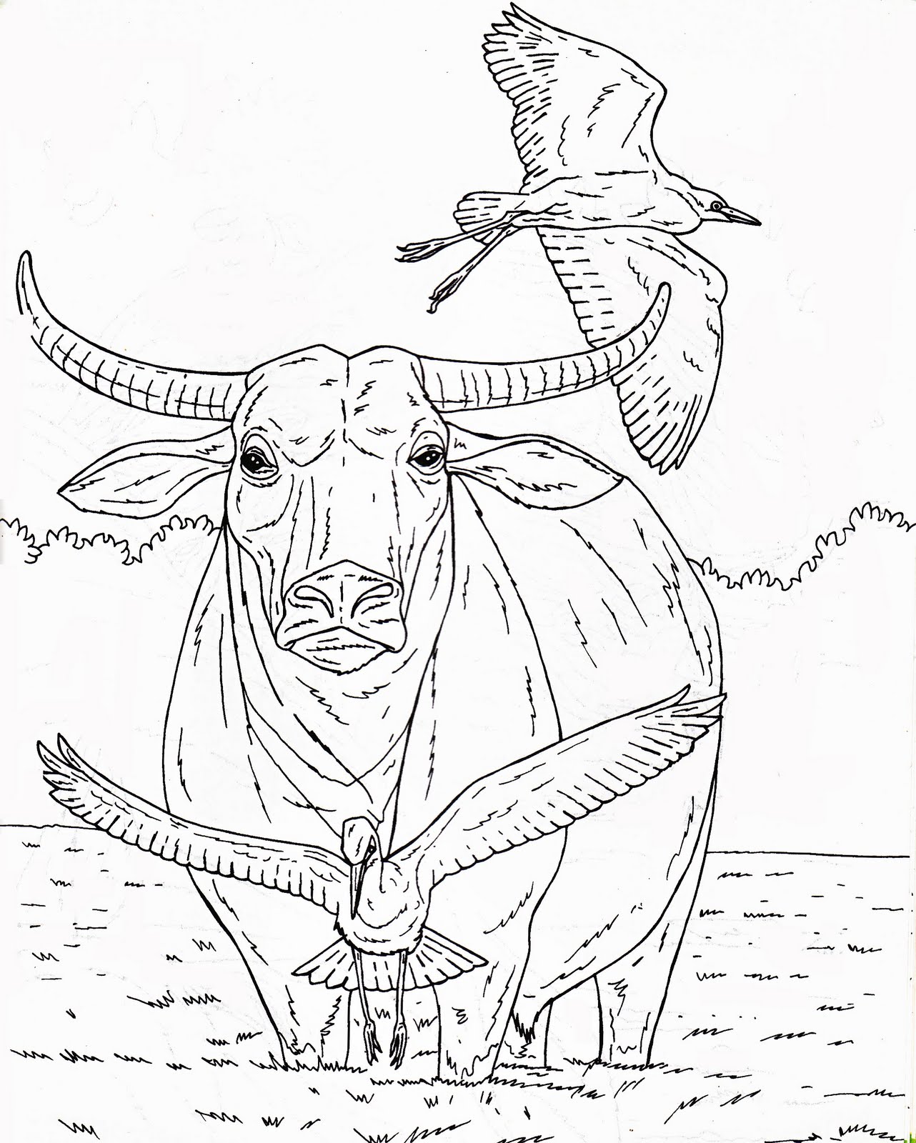 mewarnai binatang | isawa-bogor