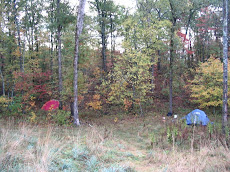 fall camping