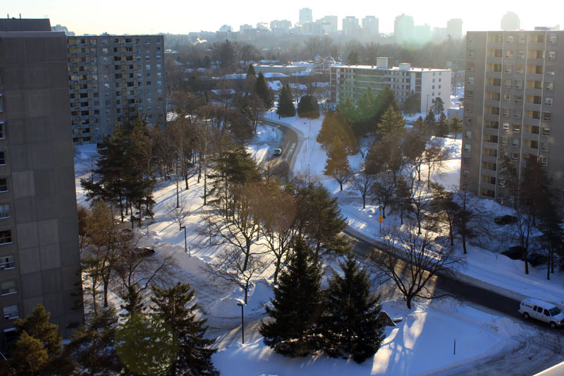 Intitle toshiba Network Camera User Login