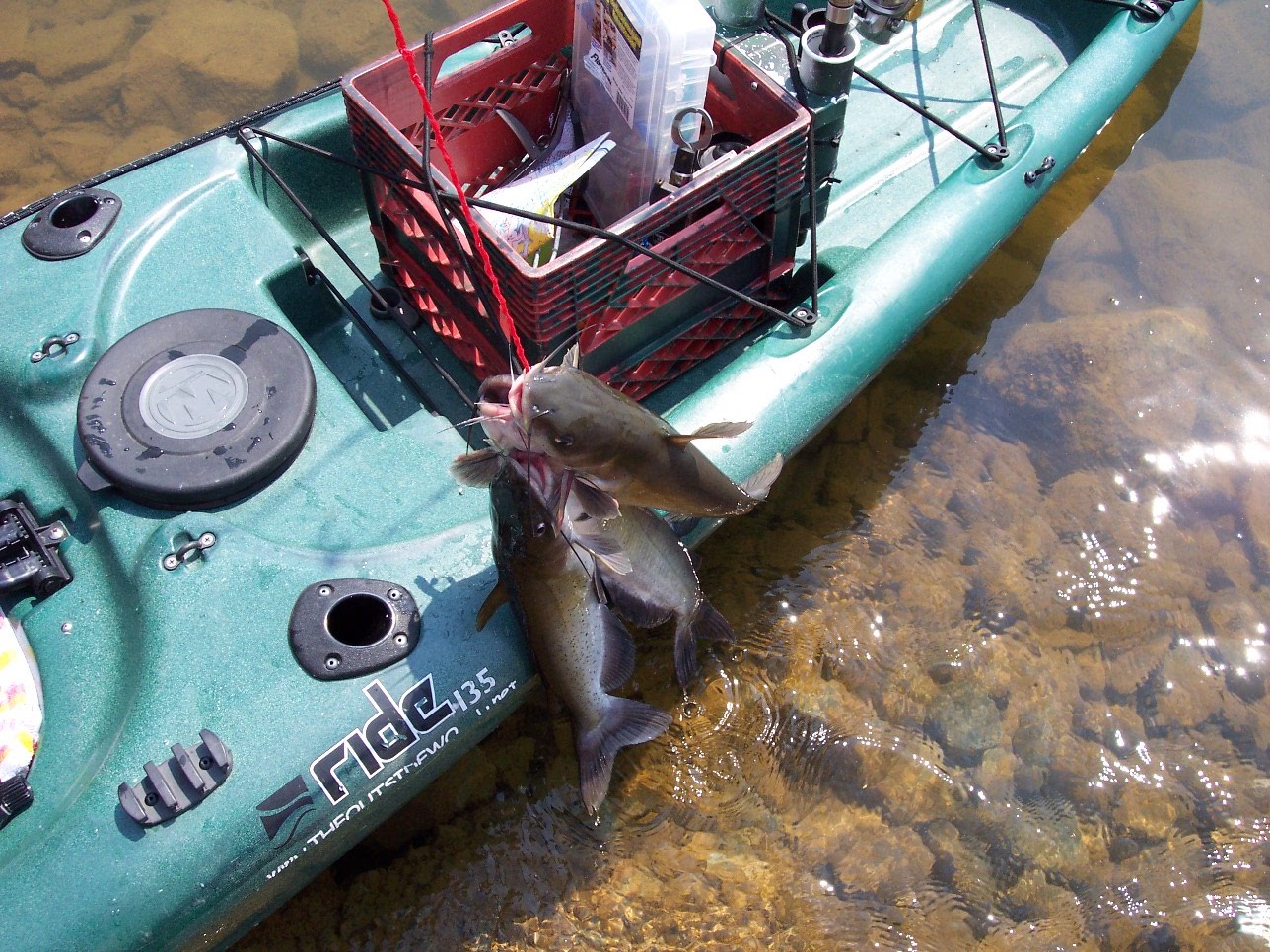 September Lanier Kayak Fishing Report Lake Lanier
