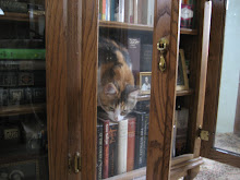 Martha's bookshelf