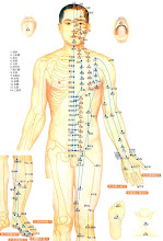 Traditional Chinese Medicine