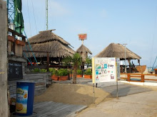 Viking bar - Flower street - Sunny Beach