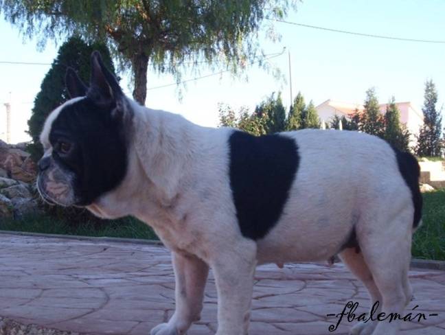 (II) POSTERGACION DE LA MUJER