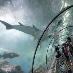 World Tourist Attraction: JAKARTA - Dream Park Jaya Ancol