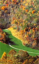 Golf Course In The Fall