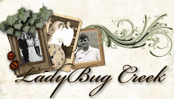 Lady Bug Creek