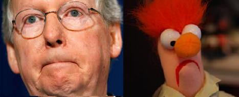 [beaker+mitch.jpg]