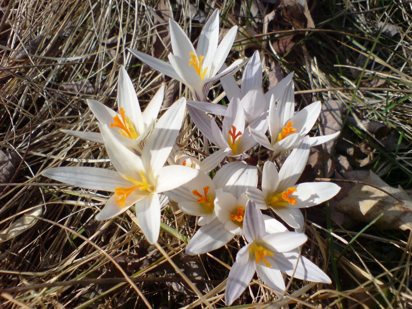 [DSC00192.JPG]