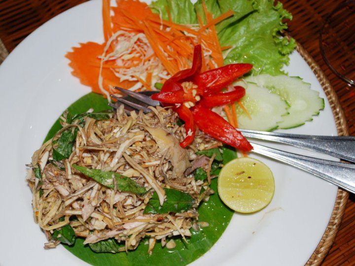 4-Quart Food Steamer: 2011