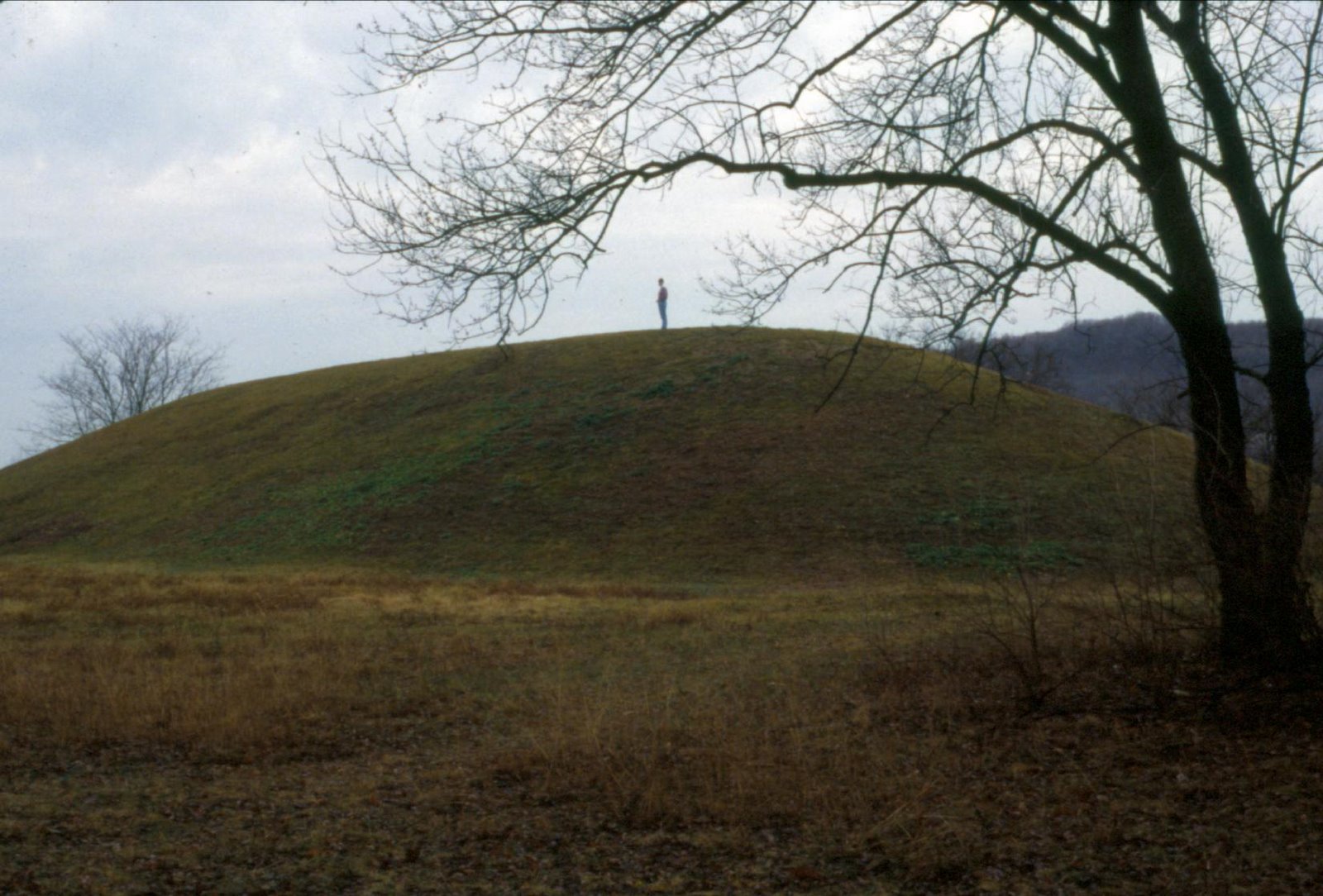 [Seip+Mound.JPG]