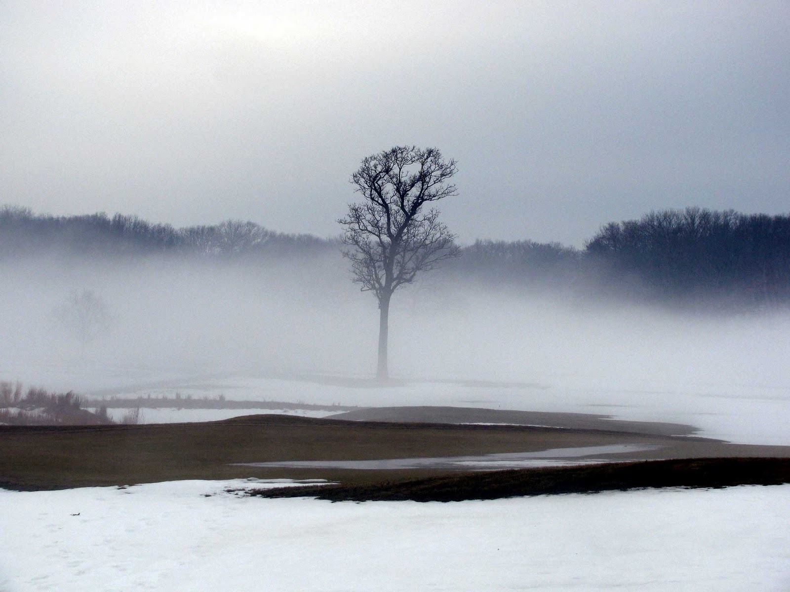 fog at the bethpage golf course