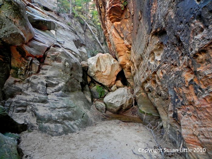 The Camping Queen Zion National Park, Utah