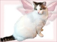 OUR ANGEL INKA        (3/17/1999 - 10/14/2009)