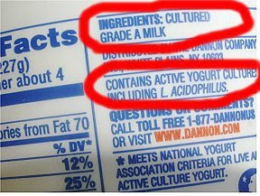yogurt active cultures ingredient easiest cheese cream homemade easy culture plain