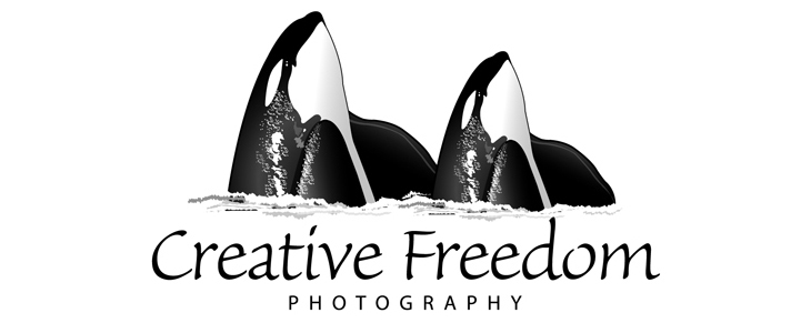 Creative Freedom Photography Blog